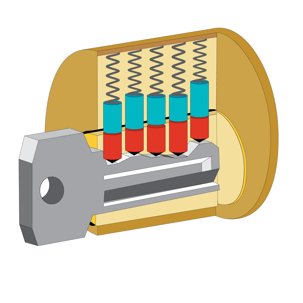 Understanding the Anatomy of Different Lock Types